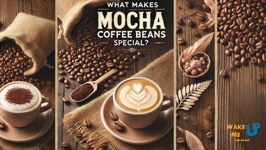 What is special about mocha coffee beans?